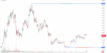 Qual è il valore più alto del Bitcoin?